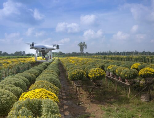 Agricultural Drone Pilot Training: Guide On What To Expect